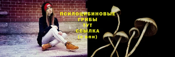 спиды Алексеевка