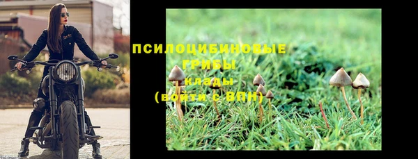 спиды Алексеевка