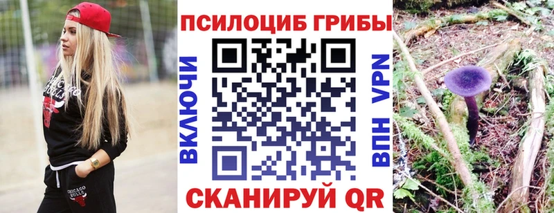 Псилоцибиновые грибы прущие грибы  цена   Городовиковск 